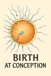 Babies are born at conception