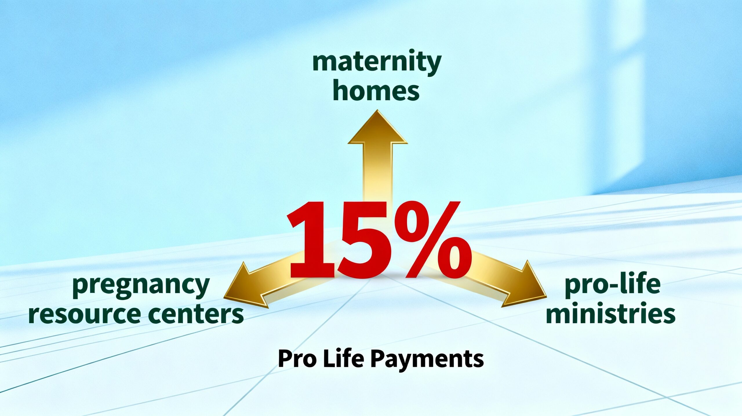 Christian Alternative to Donorbox: Pro Life Payments Offers World-Class Functionality with Pro-Life Mission